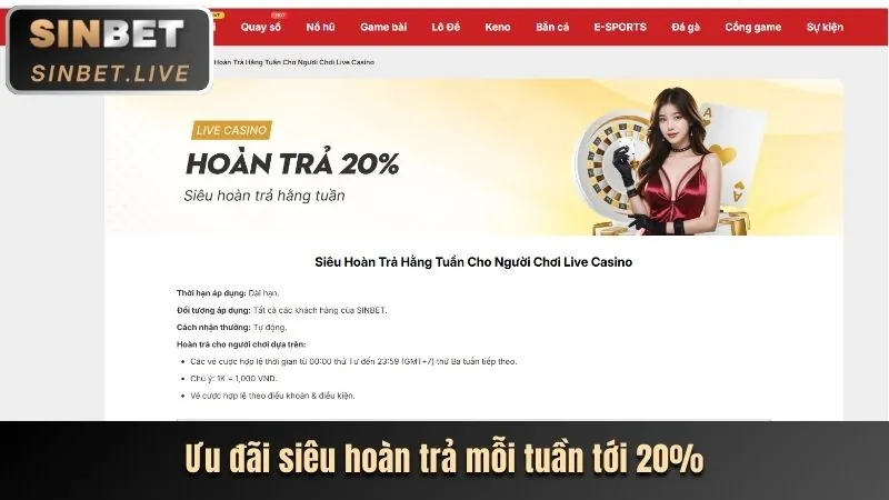 Banner sự kiện và khuyến mãi đặc biệt